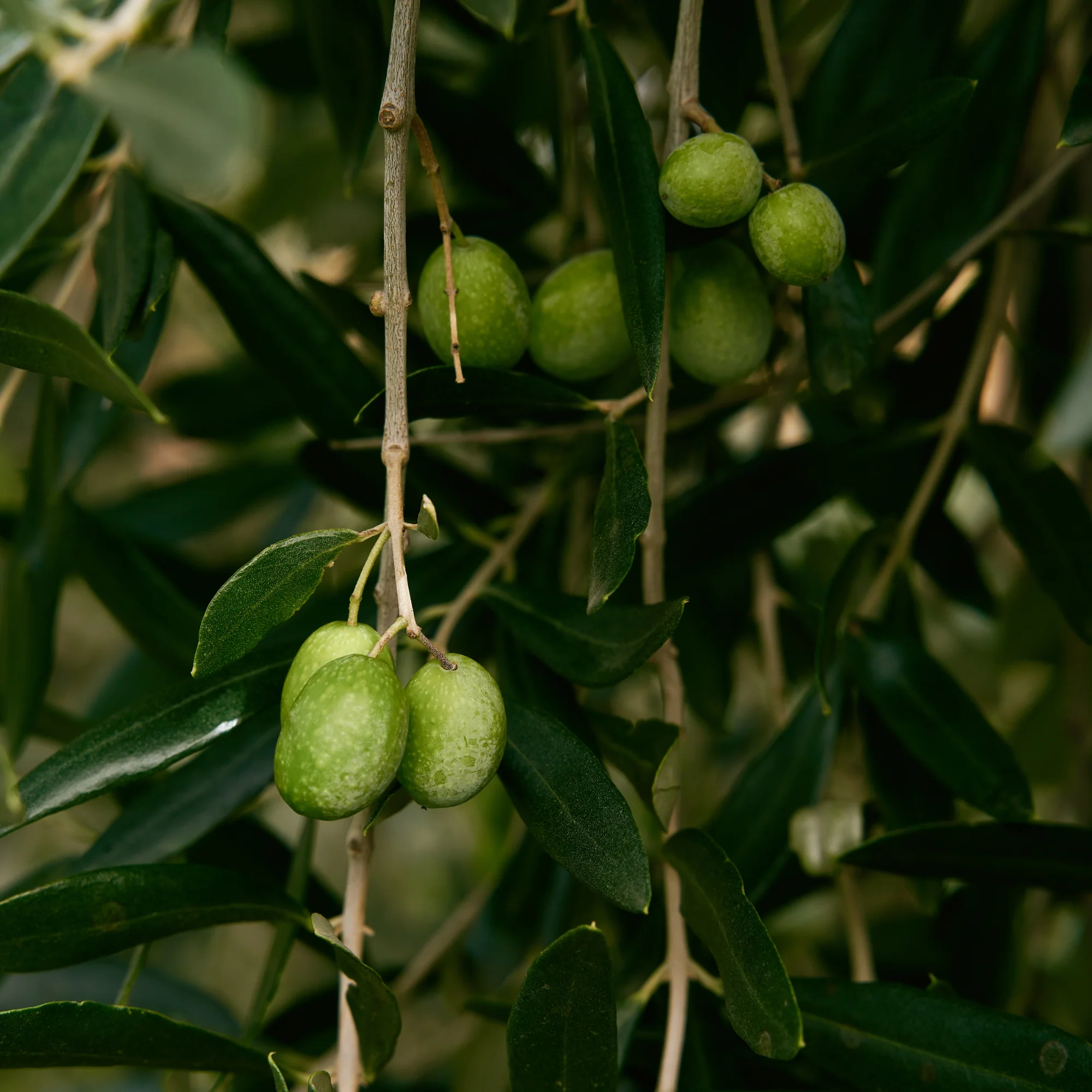 Produktbild 5